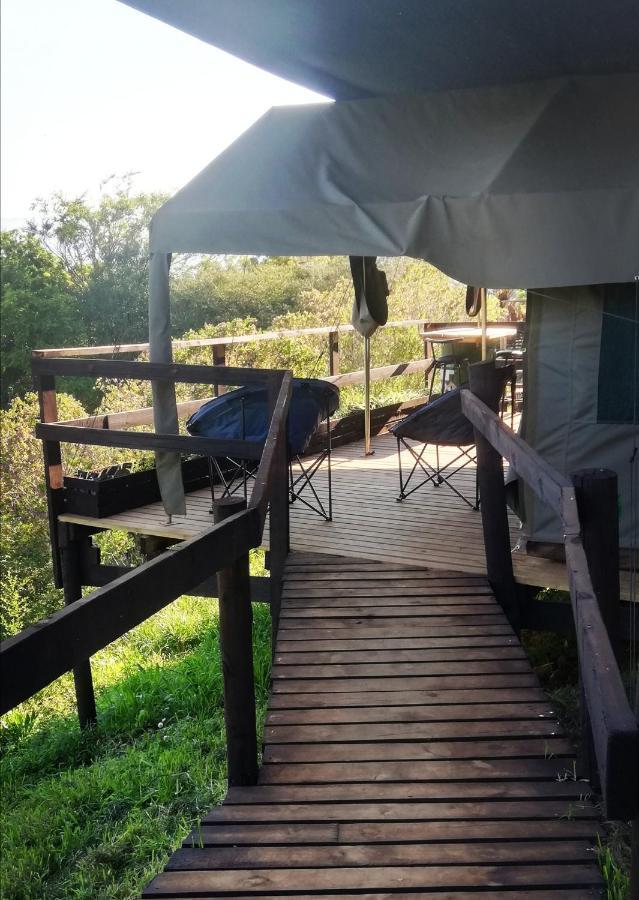 Chosen Glamping Tents Graskop Εξωτερικό φωτογραφία