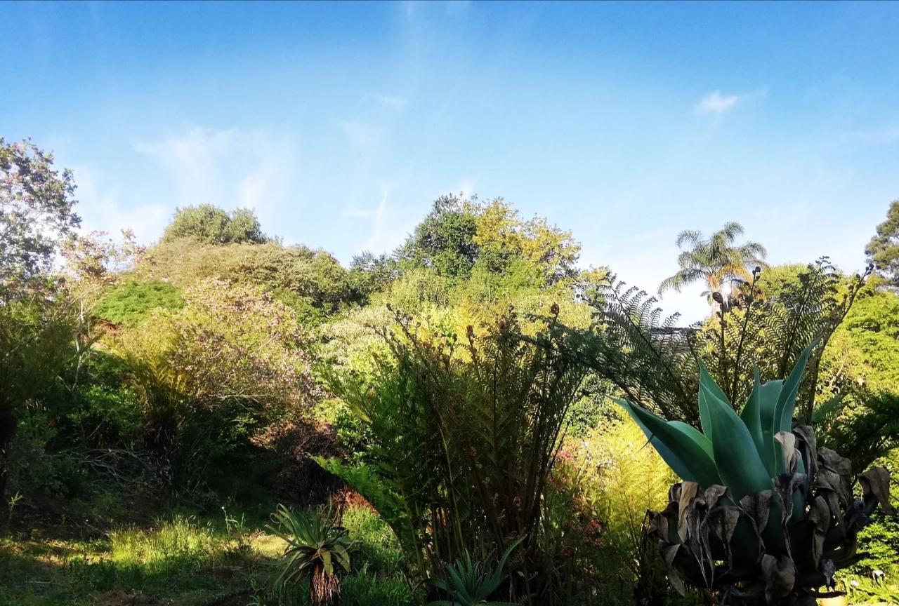 Chosen Glamping Tents Graskop Εξωτερικό φωτογραφία