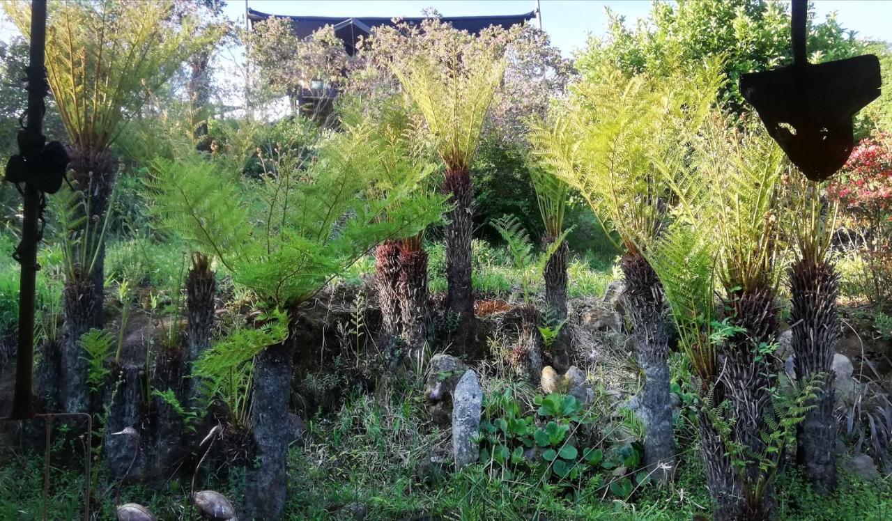 Chosen Glamping Tents Graskop Εξωτερικό φωτογραφία