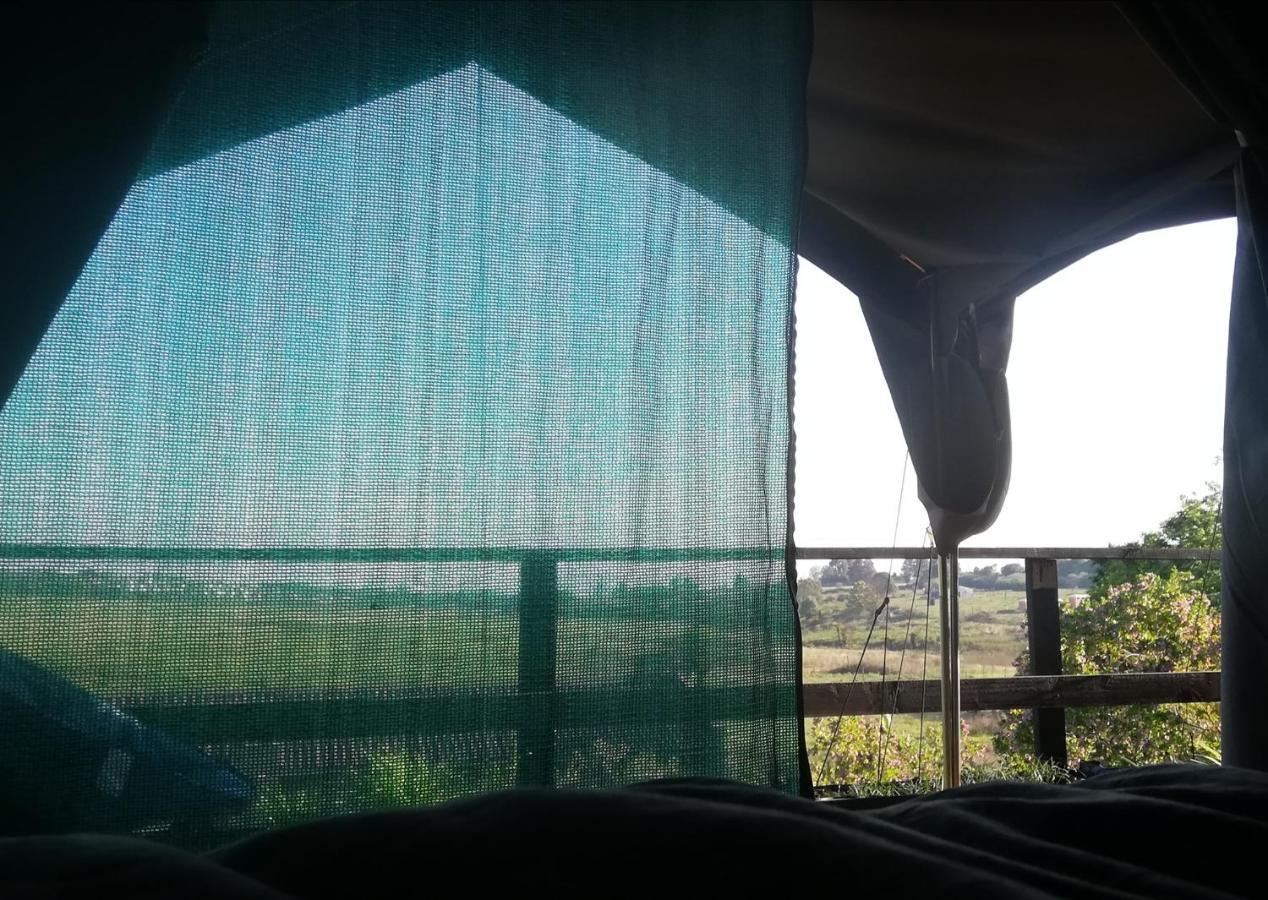 Chosen Glamping Tents Graskop Εξωτερικό φωτογραφία