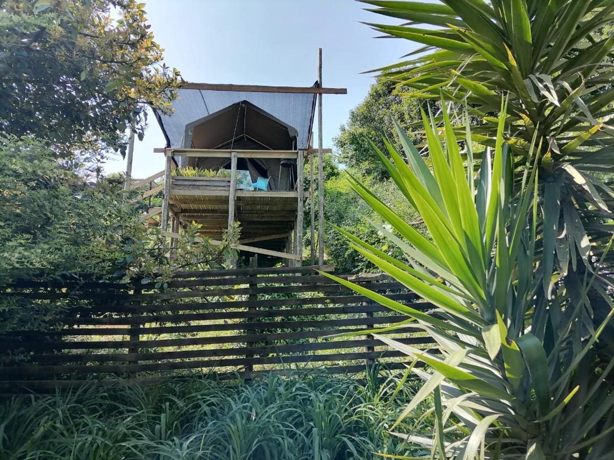 Chosen Glamping Tents Graskop Εξωτερικό φωτογραφία