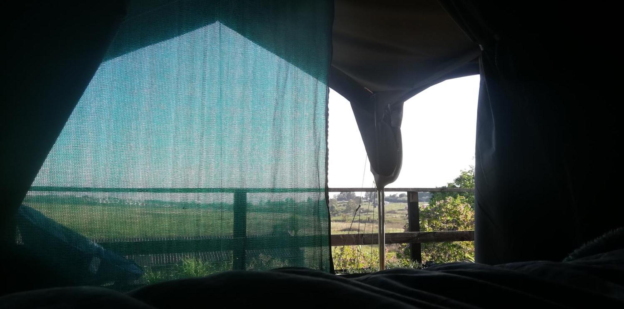 Chosen Glamping Tents Graskop Εξωτερικό φωτογραφία